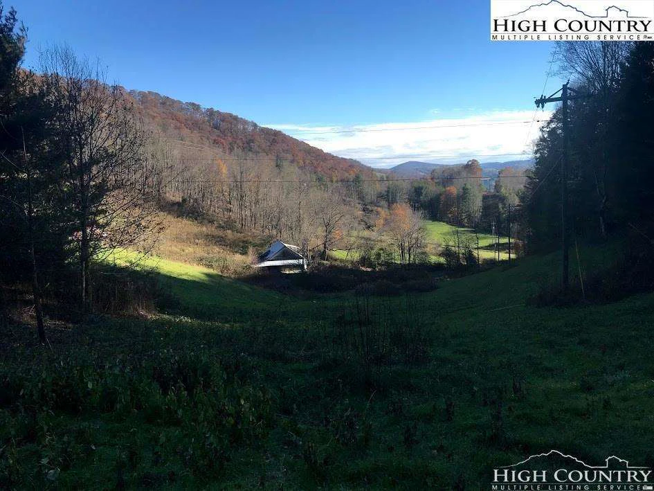 Image number 11 for the current listing