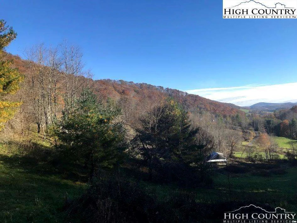 Image number 17 for the current listing