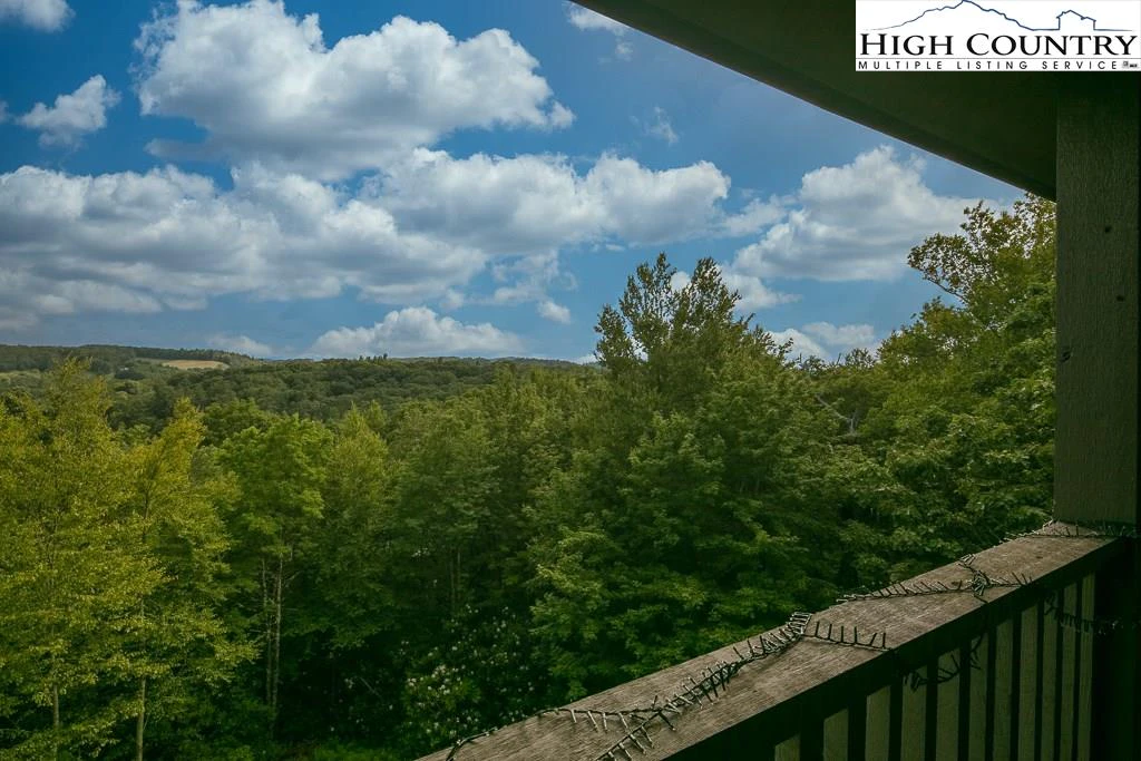 Image number 9 for the current listing