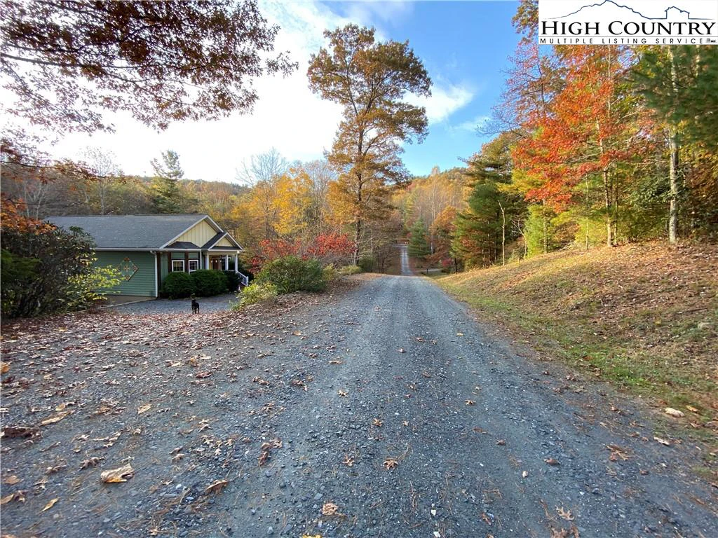 Image number 4 for the current listing