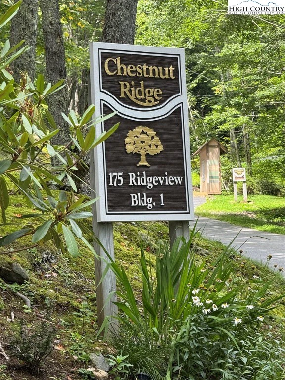 Image number 5 for the current listing