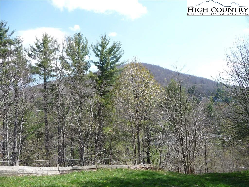 Image number 4 for the current listing