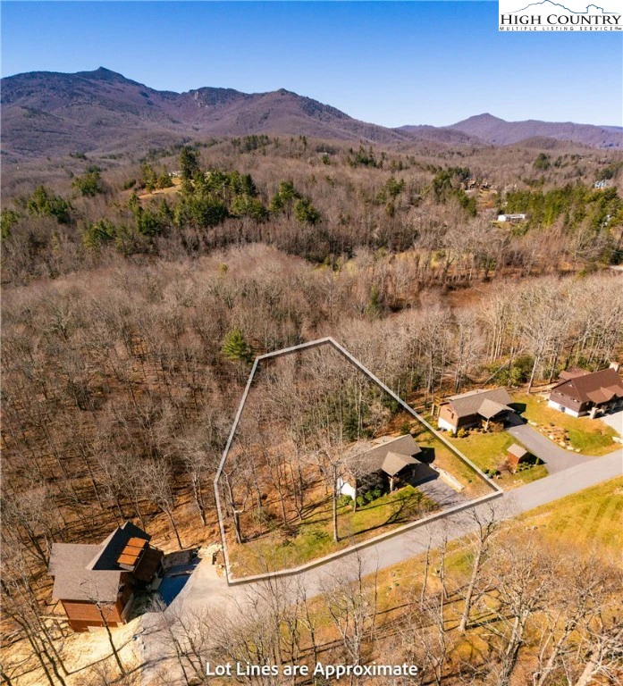 Image number 7 for the current listing