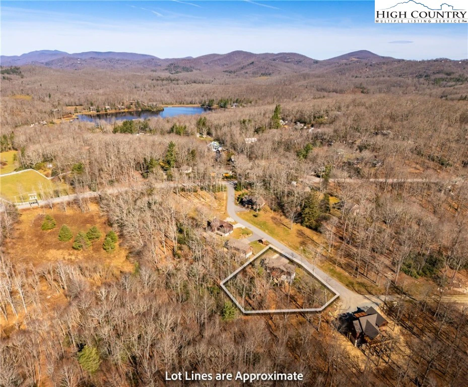 Image number 6 for the current listing
