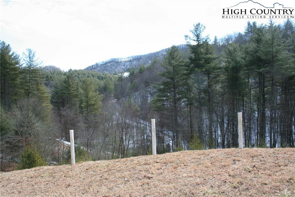 Image number 16 for the current listing