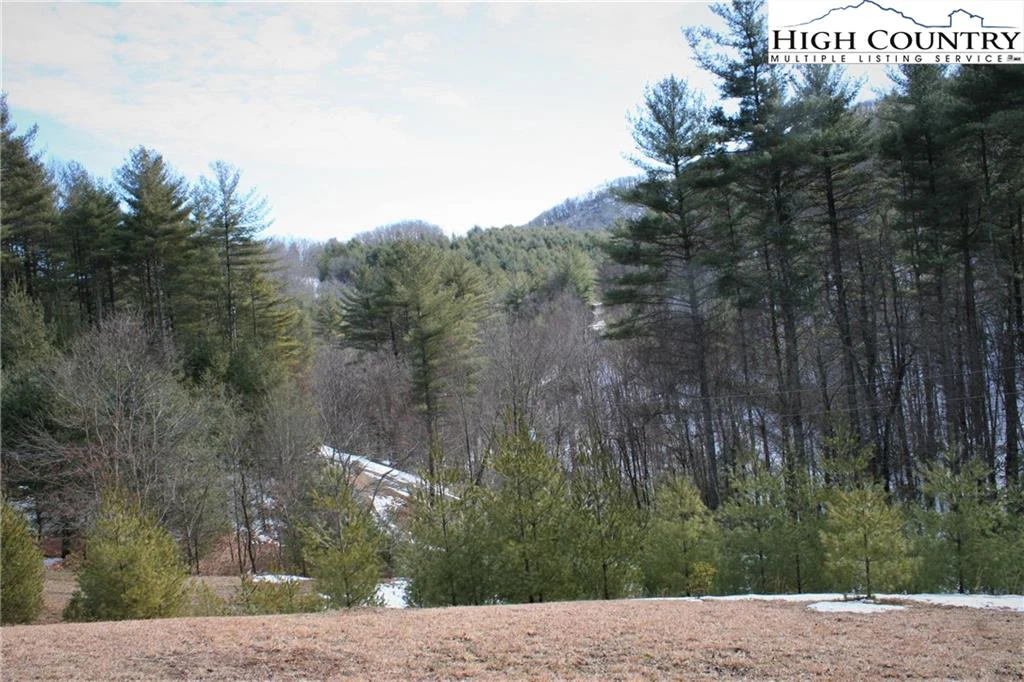 Image number 18 for the current listing