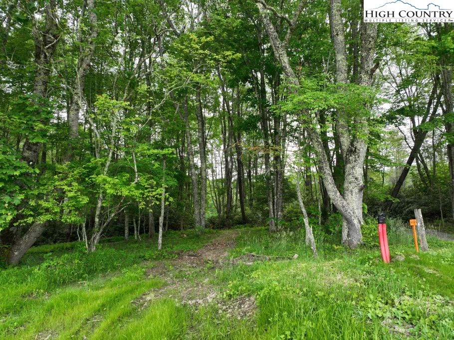 Image number 16 for the current listing