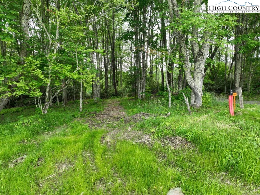 Image number 15 for the current listing