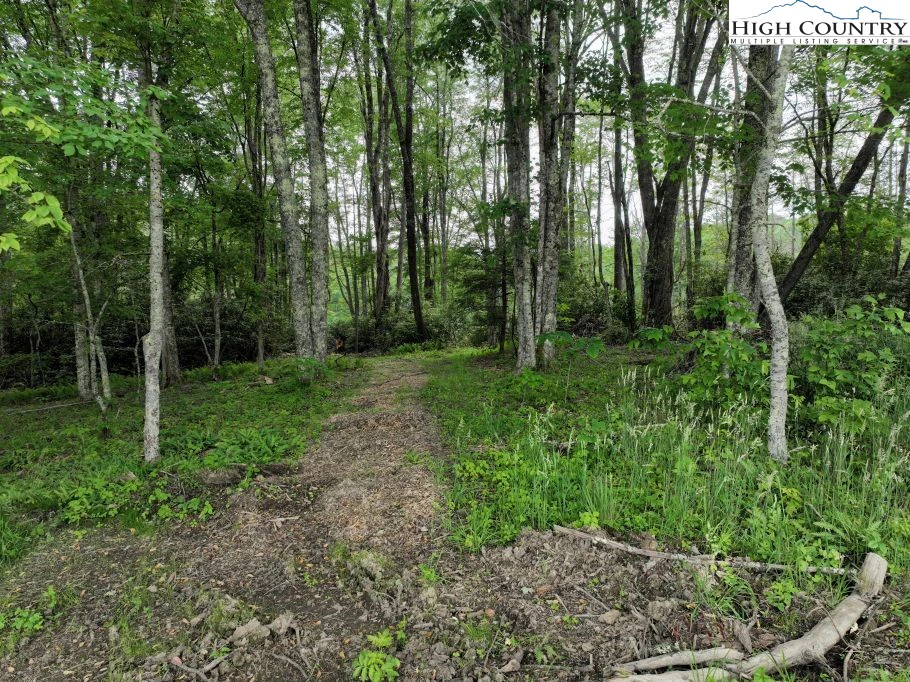 Image number 14 for the current listing