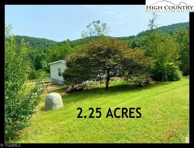 Image number 1 for the current listing