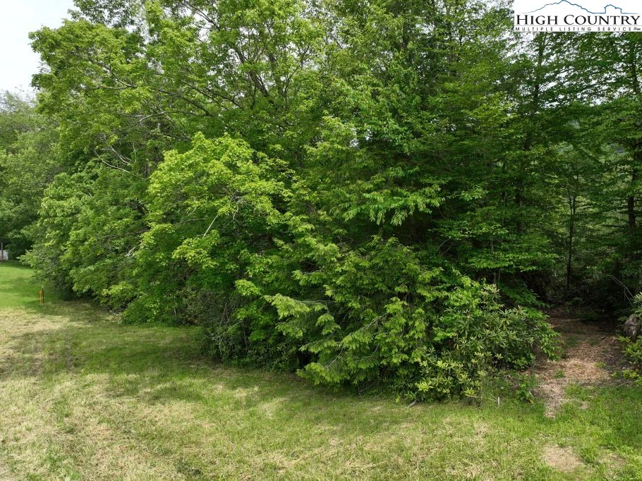 Image number 15 for the current listing