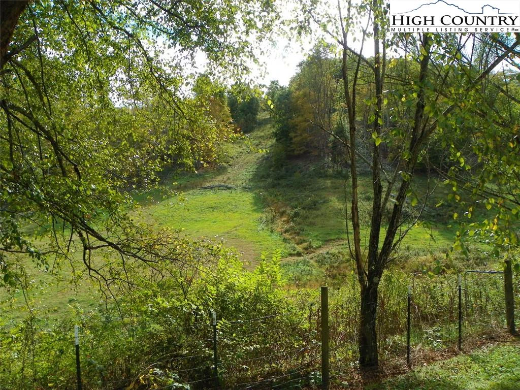 Image number 5 for the current listing