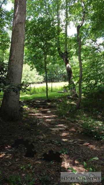 Image number 2 for the current listing