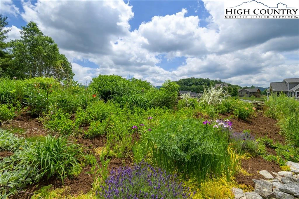 Image number 21 for the current listing