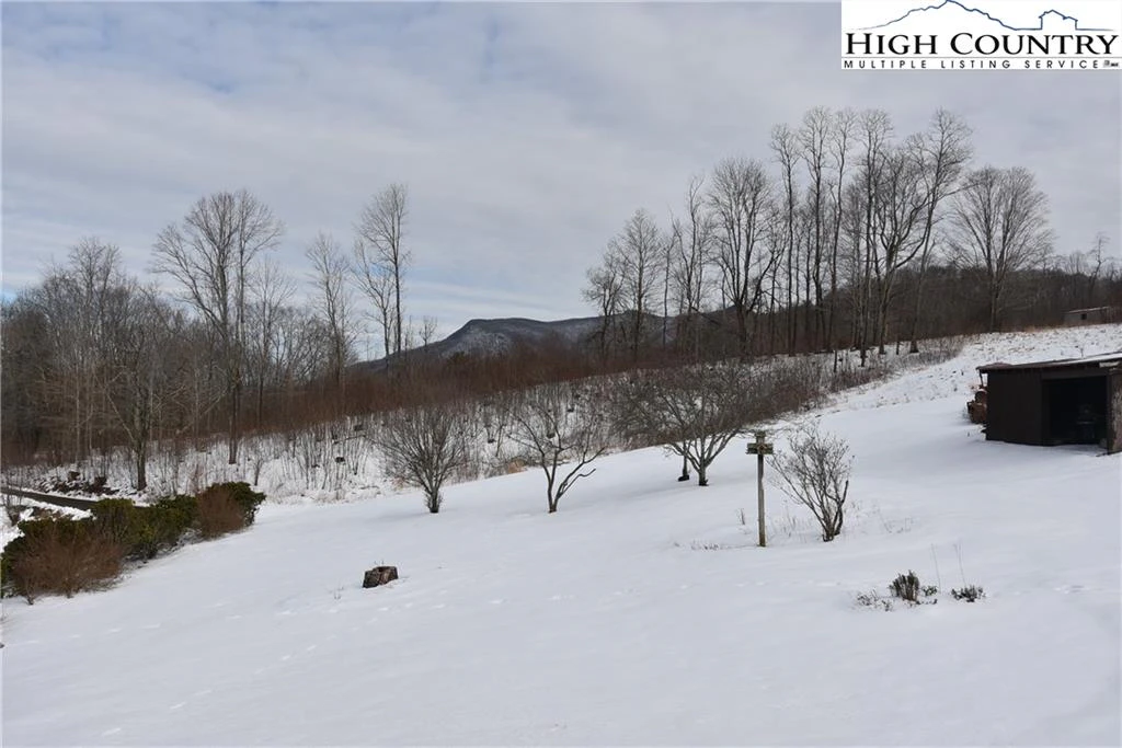 Image number 14 for the current listing
