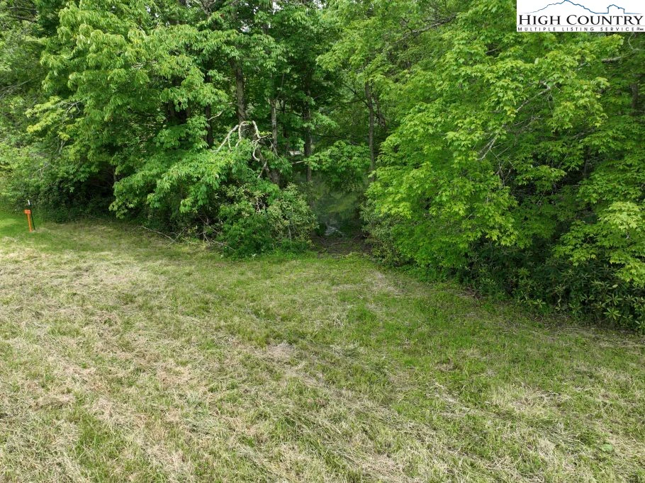 Image number 2 for the current listing