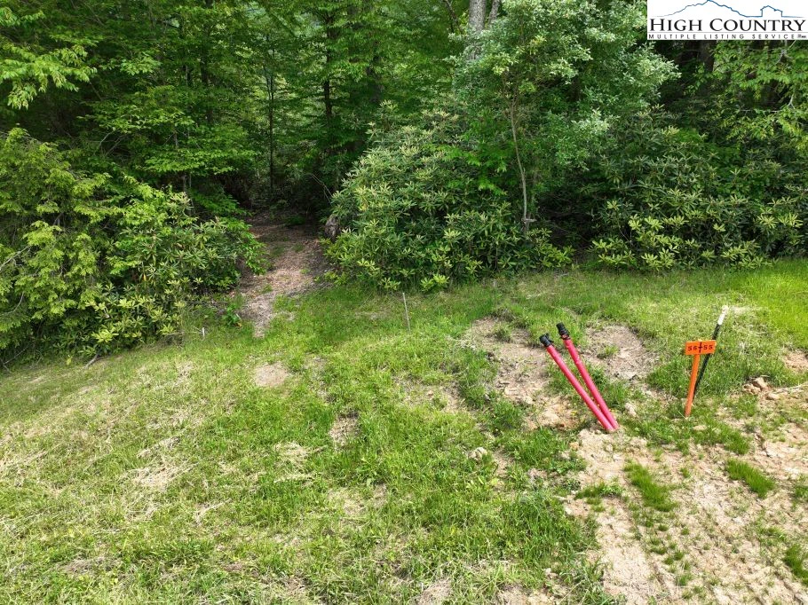 Image number 2 for the current listing
