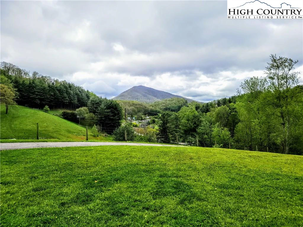 Image number 7 for the current listing