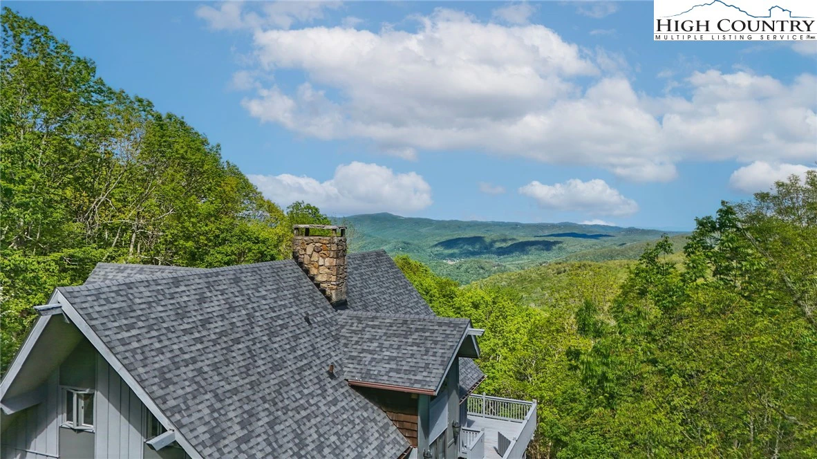 Image number 4 for the current listing