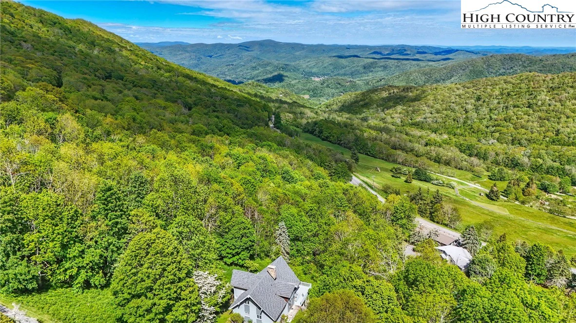 Image number 3 for the current listing