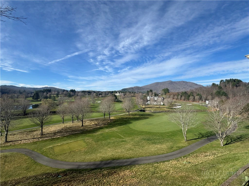 Image number 15 for the current listing