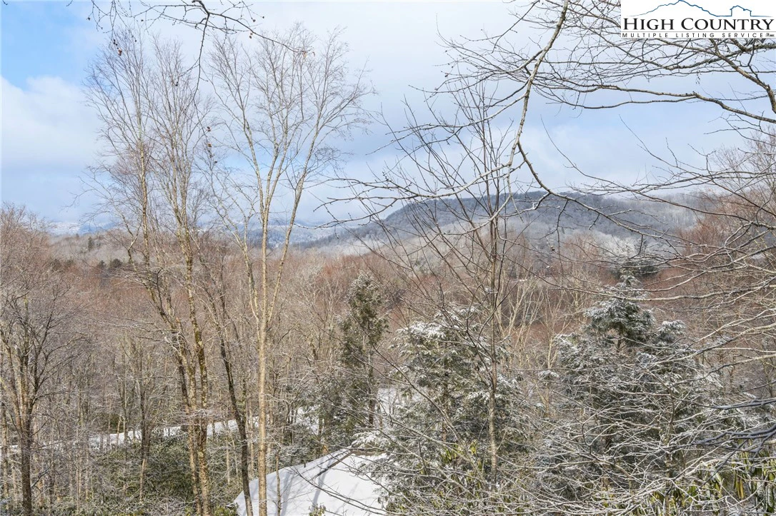 Image number 21 for the current listing