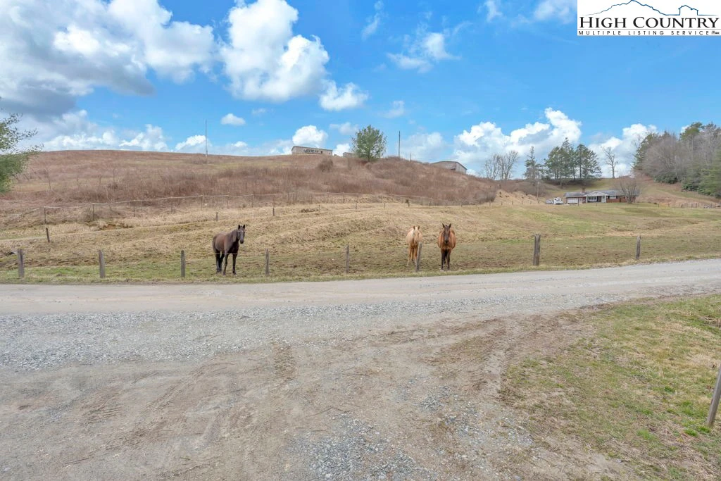 Image number 14 for the current listing