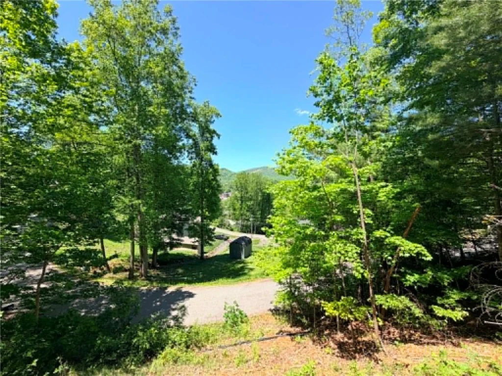Image number 19 for the current listing