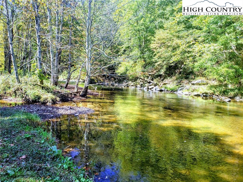 Image number 4 for the current listing