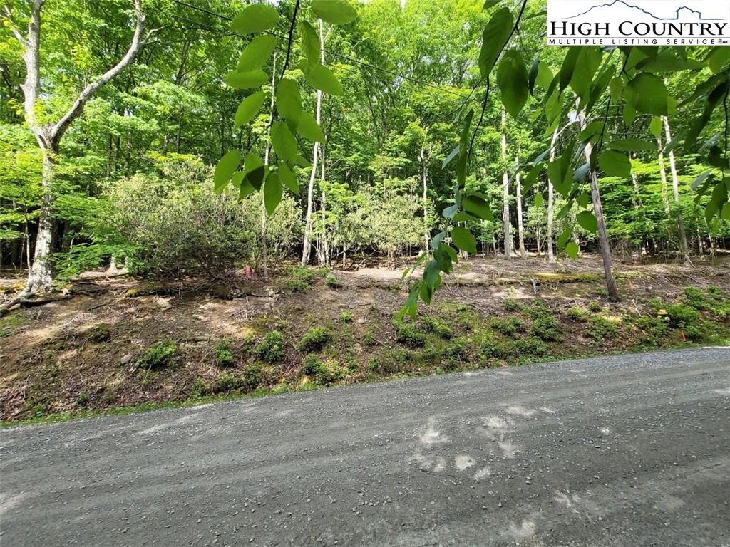 Image number 1 for the current listing