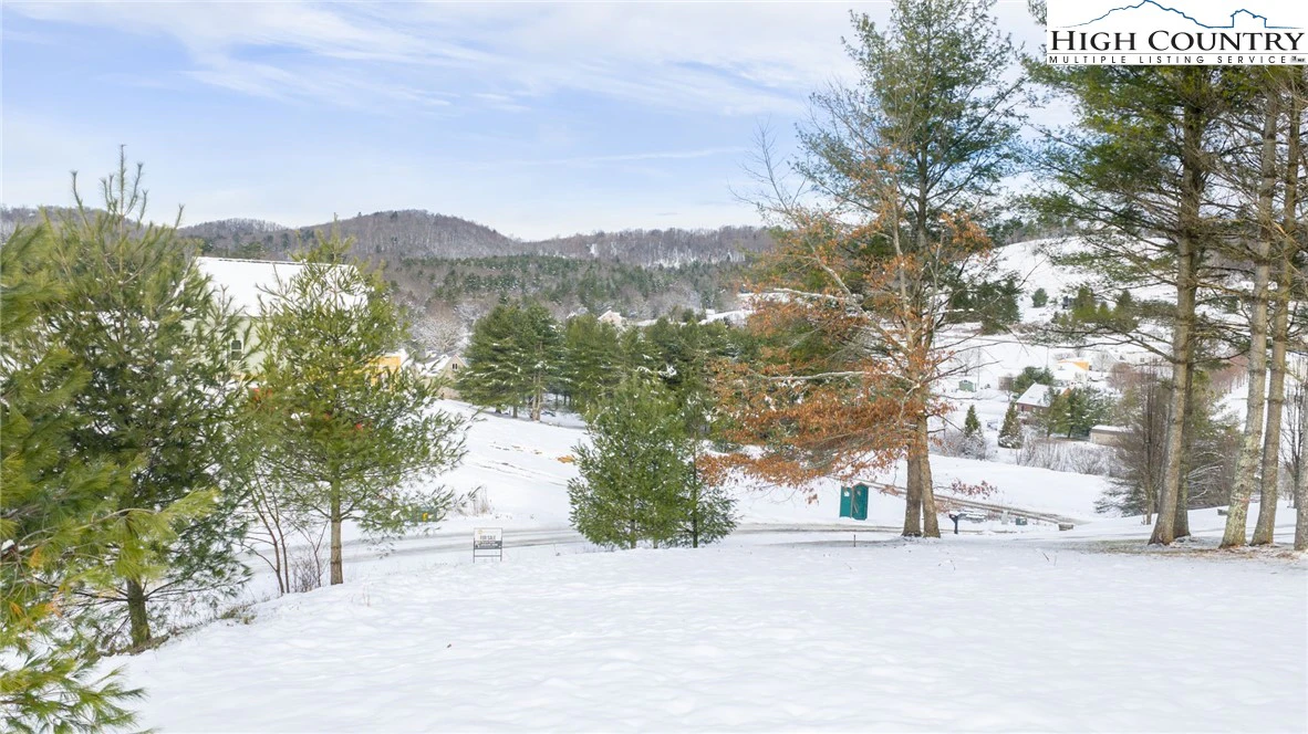 Image number 16 for the current listing