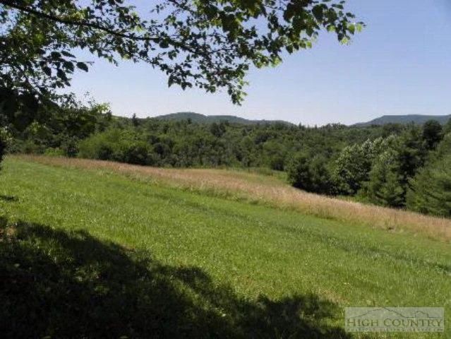 Image number 4 for the current listing