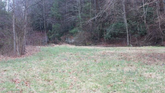Image number 9 for the current listing