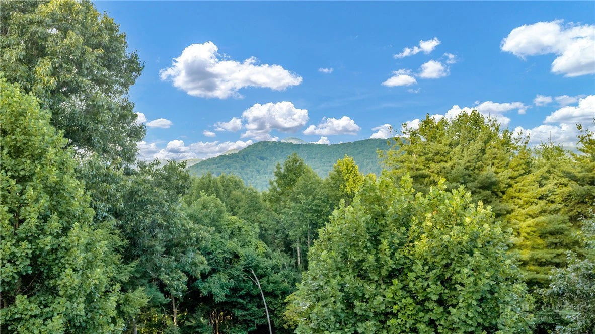 Image number 7 for the current listing