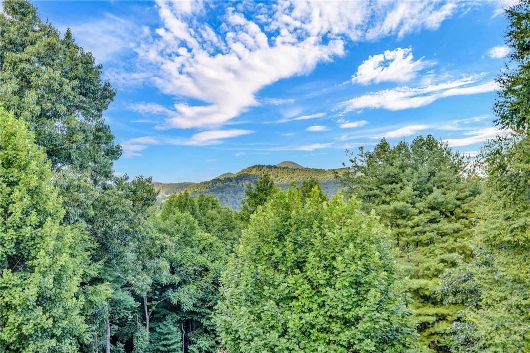 Image number 8 for the current listing
