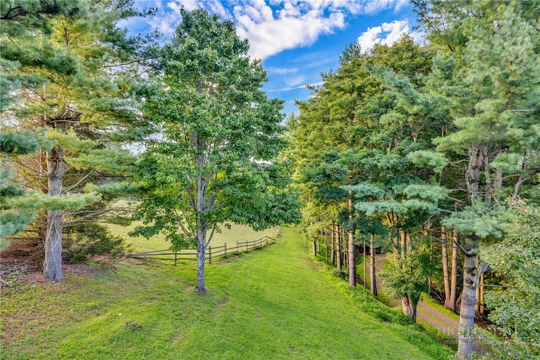 Image number 9 for the current listing