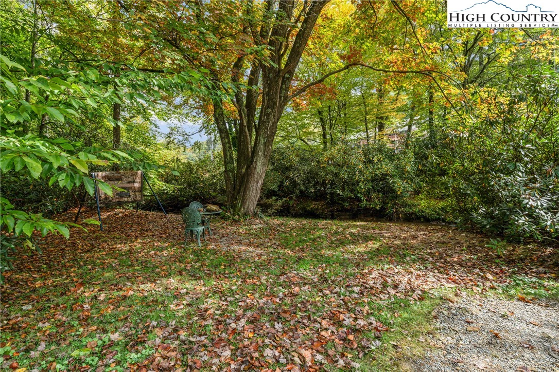 Image number 12 for the current listing