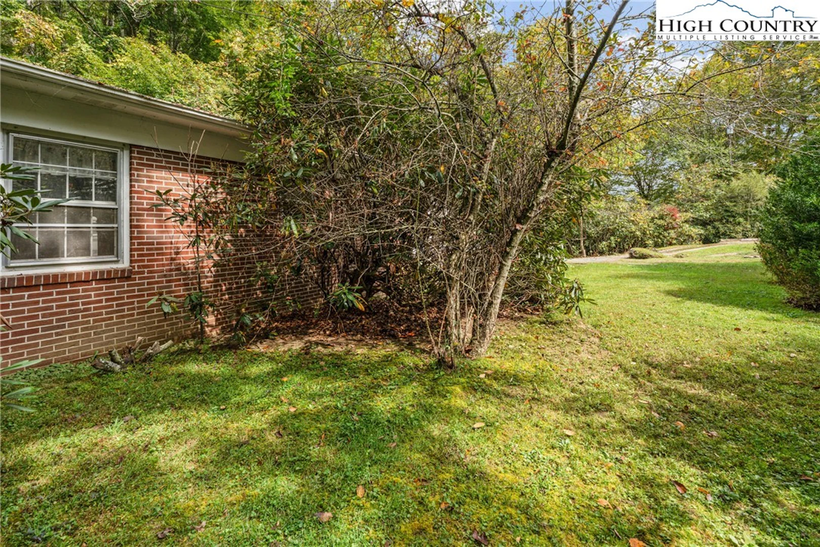 Image number 2 for the current listing