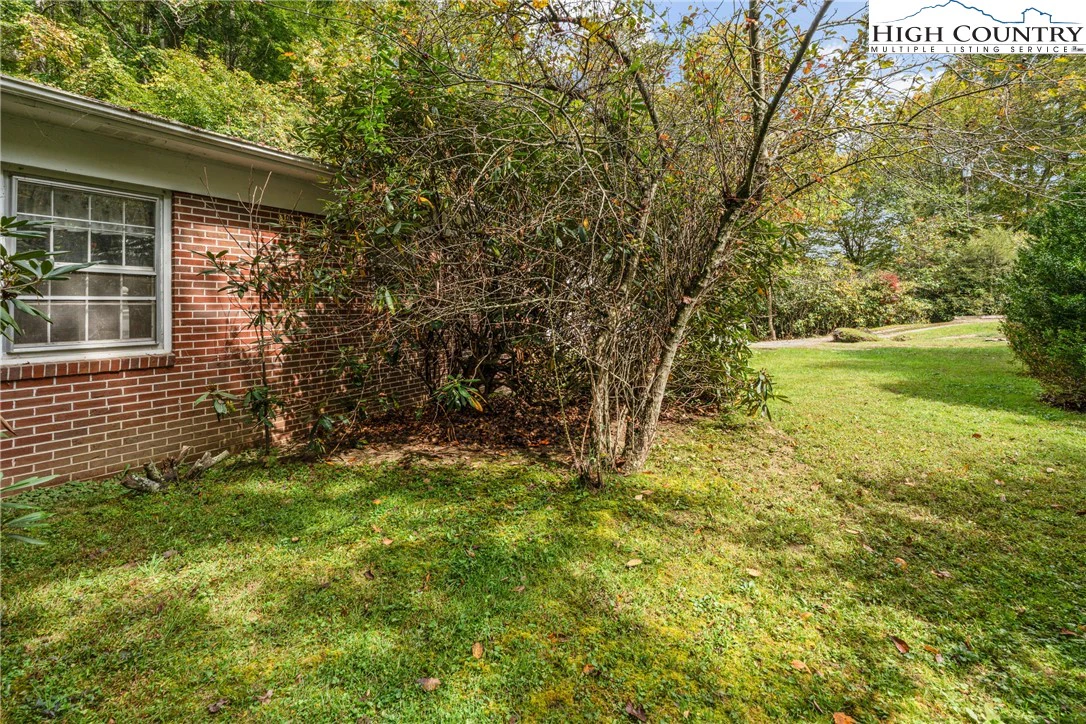 Image number 2 for the current listing