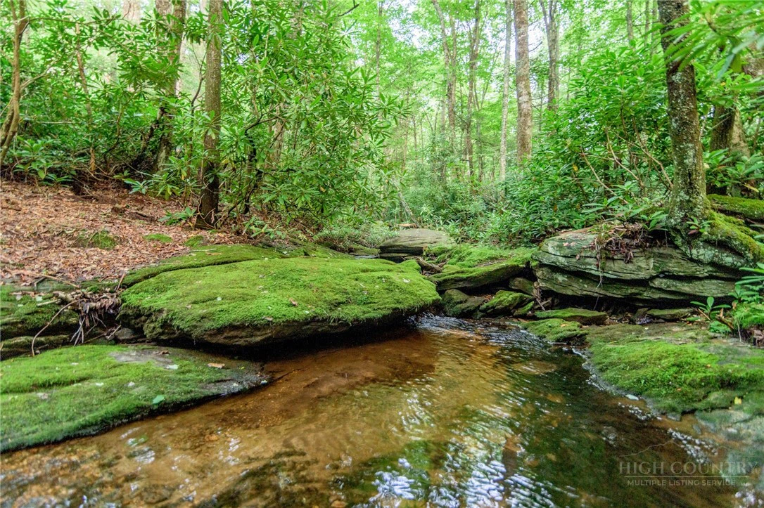 Image number 1 for the current listing
