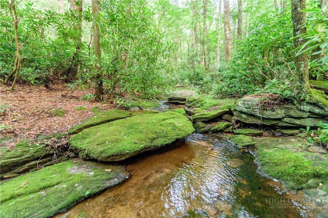 Image number 3 for the current listing