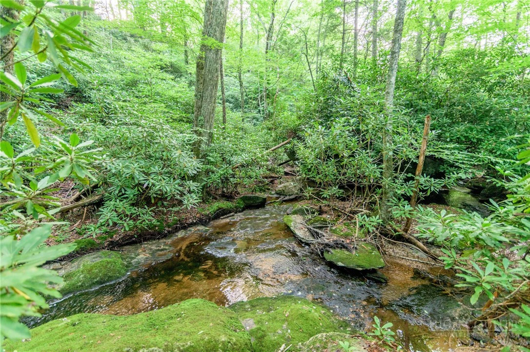 Image number 4 for the current listing