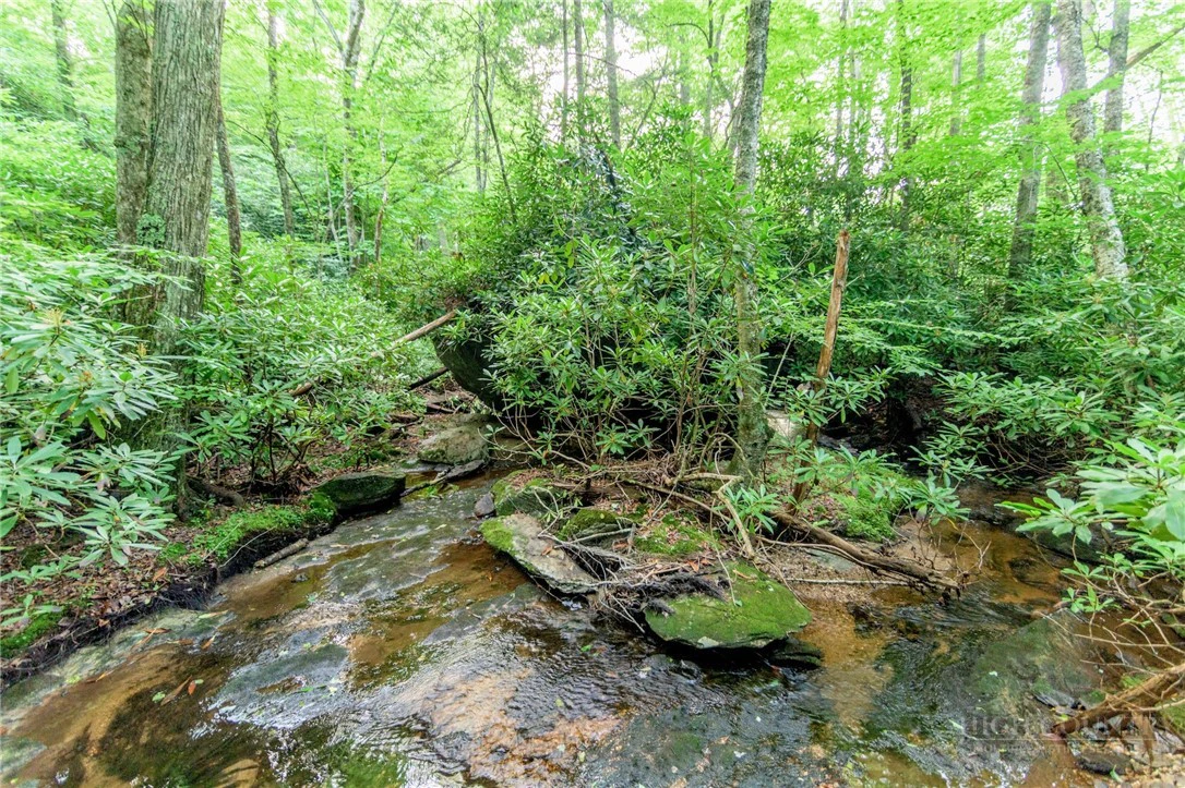 Image number 5 for the current listing