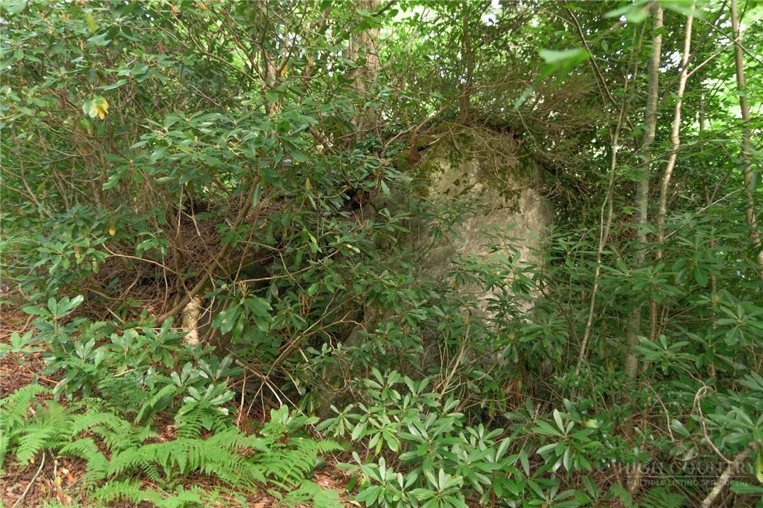 Image number 7 for the current listing