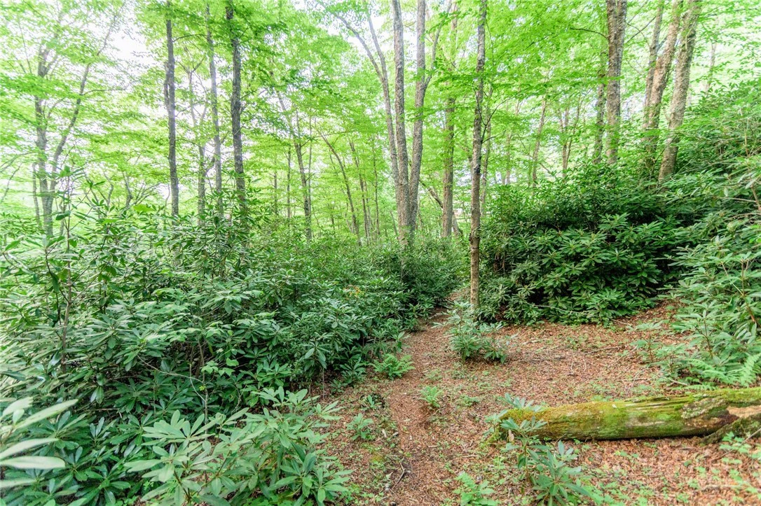 Image number 8 for the current listing
