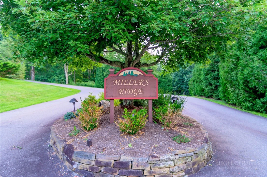Image number 11 for the current listing