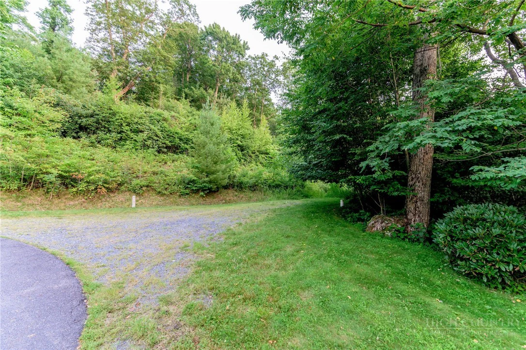 Image number 2 for the current listing