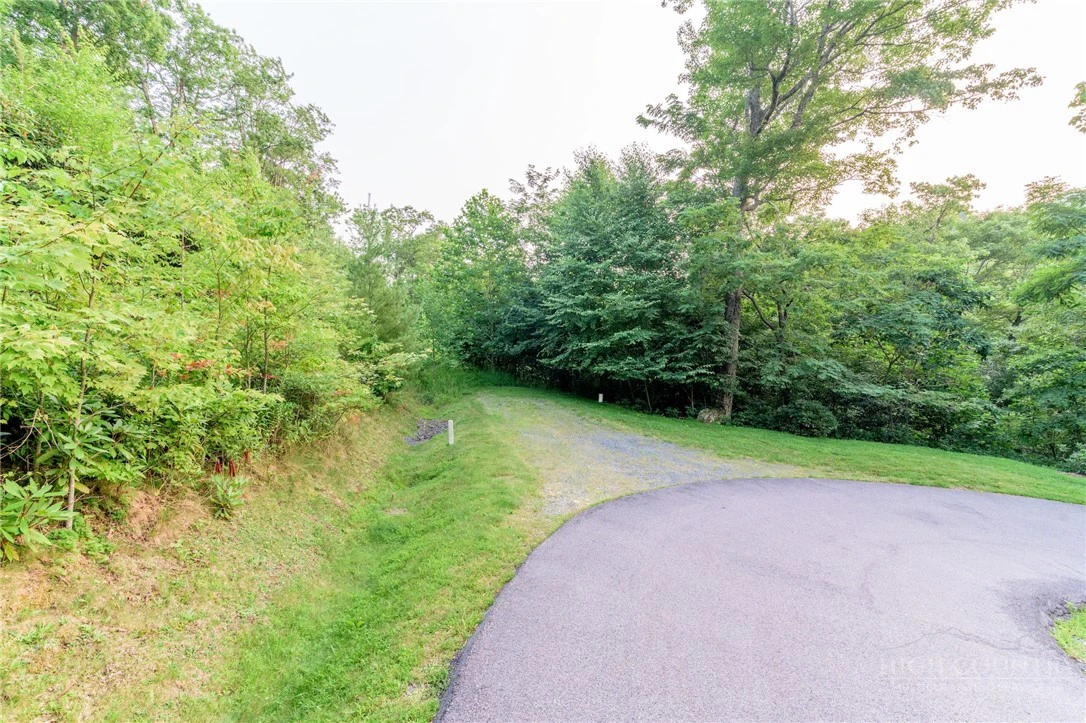 Image number 12 for the current listing