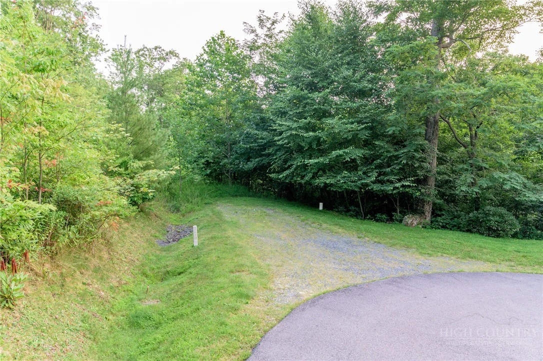 Image number 13 for the current listing