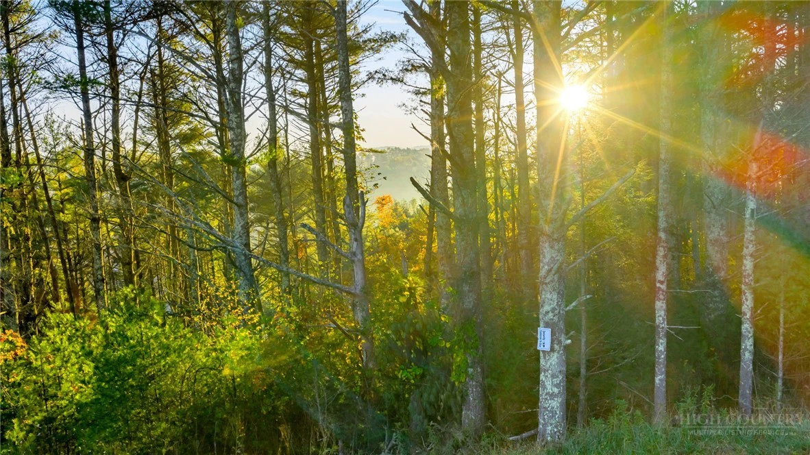 Image number 3 for the current listing